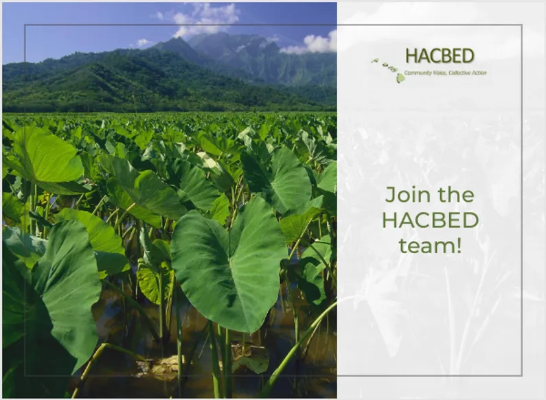 HACBED is Hiring