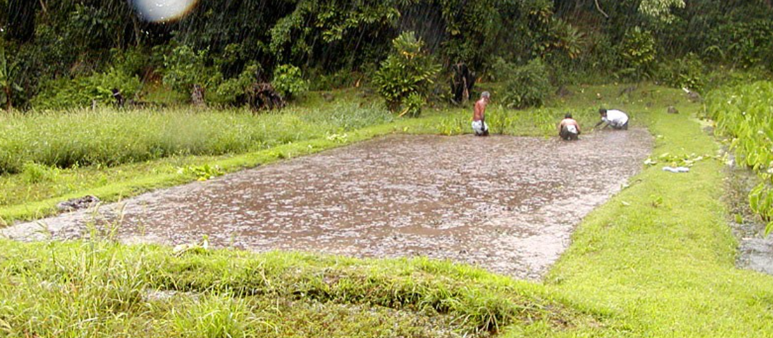 Community & Organizational Capacity Building